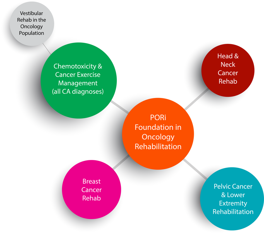 An infographic of the PORi Curriculum showing how the different courses all build off the Foundation in Oncology Rehab course.